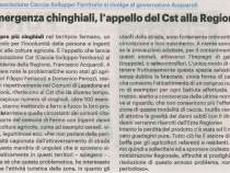 emergenza-cinghiali-l-appello-del-cst-alla-regione_0.png